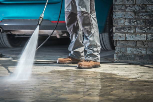 Best Paint Preparation  in Mount Plymouth, FL