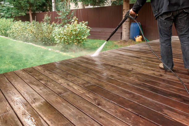 Best Solar Panel Cleaning  in Mount Plymouth, FL