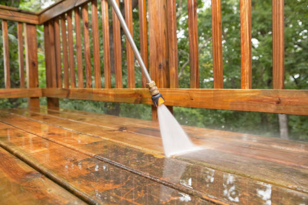 Trusted Mount Plymouth, FL Pressure Washing Services Experts