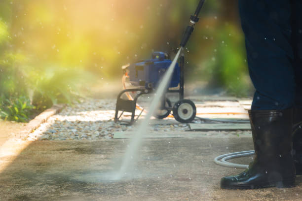 Best Roof Washing  in Mount Plymouth, FL